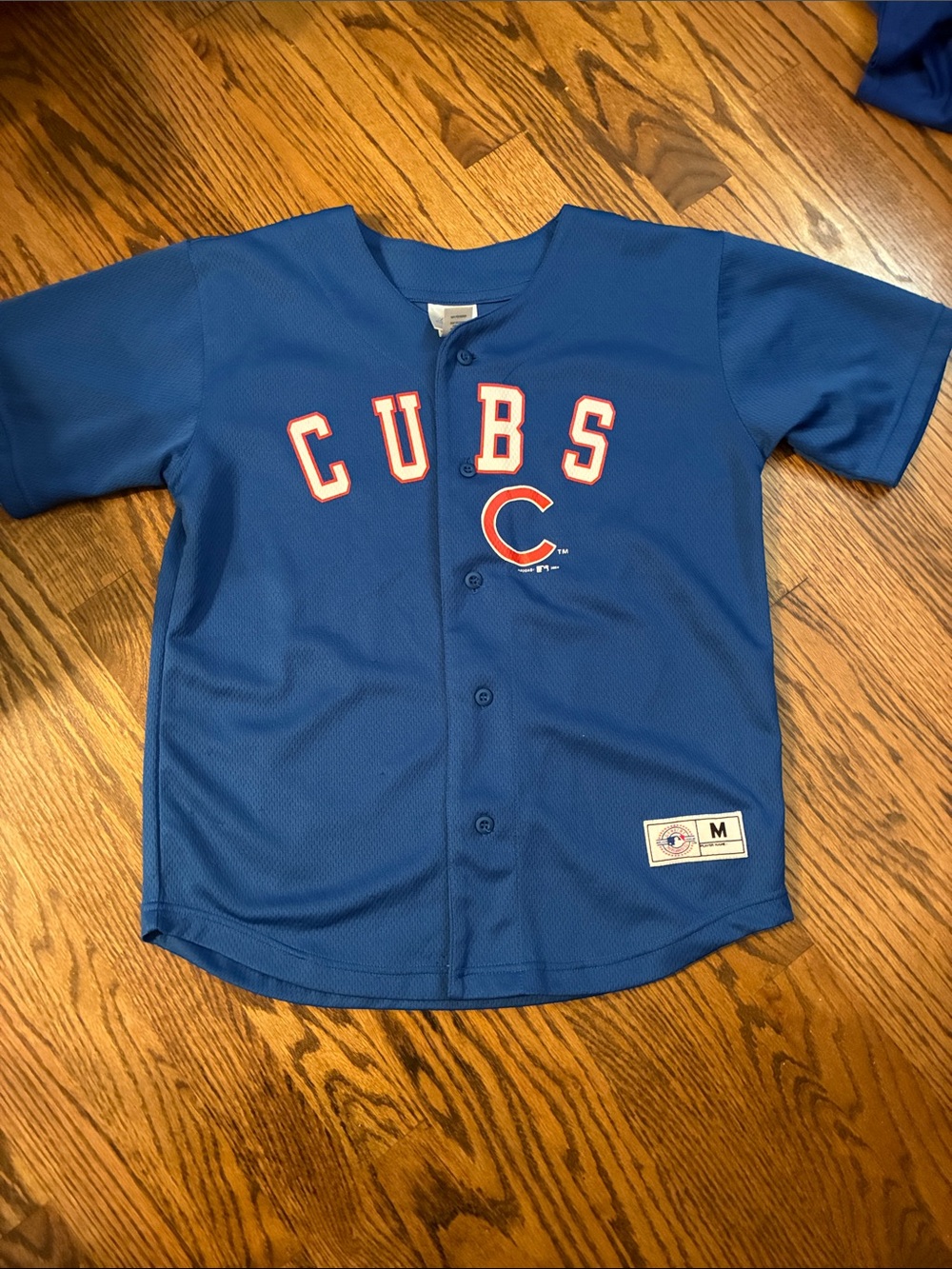 MLB Chicago Cubs Blue Youth Jersey with Red & White Accents Medium 10/12 Cubbies